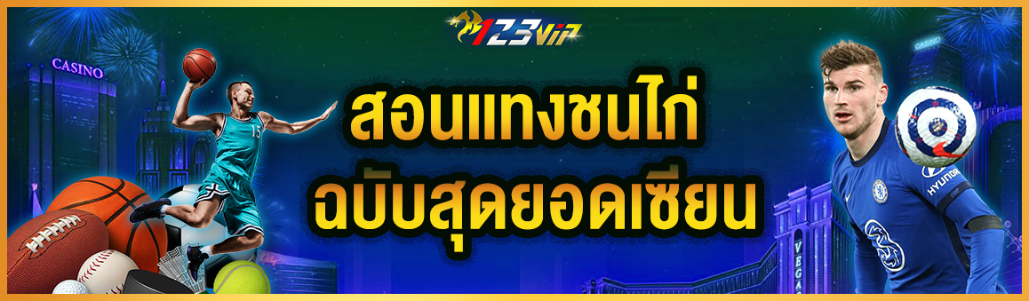 สอนเเทงชนไก่ฉบับสุดยอดเซียน