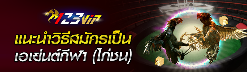 แนะนำวิธีสมัครเป็นเอเย่นต์กีฬา (ไก่ชน)